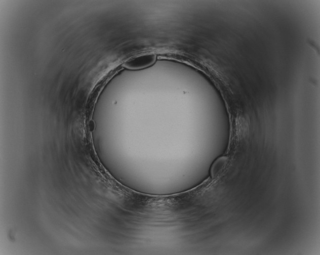 X0000103231165200809111523