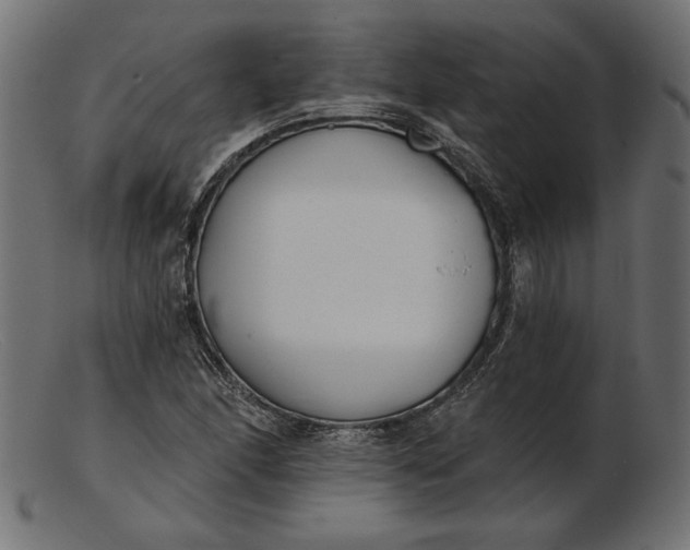 X0000103231166200809111523