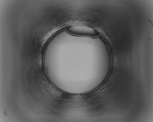 X0000103231167200809111523