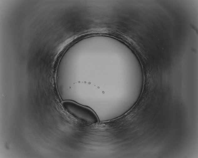 X0000103231168200809111523