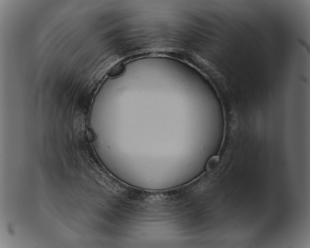 X0000103231169200809111523