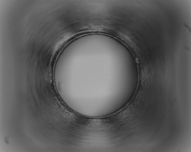 X0000103231172200809111523