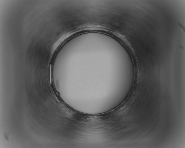 X0000103231175200809111523