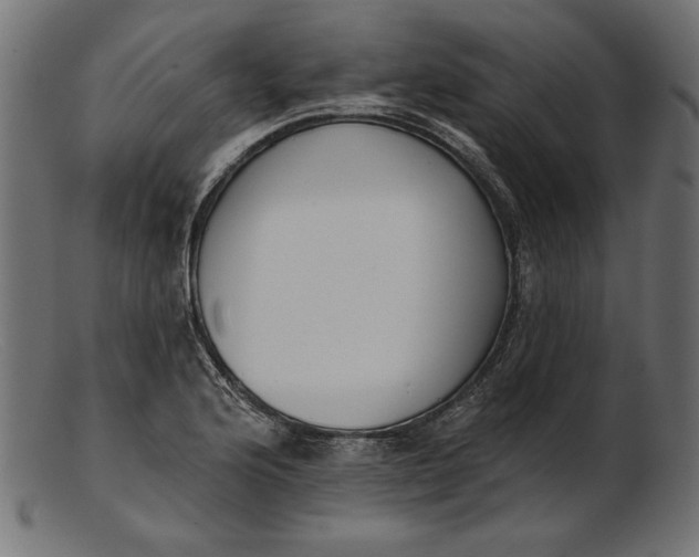 X0000103231176200809111523