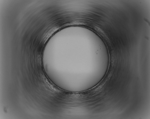 X0000103231177200809111523