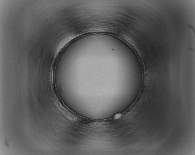 X0000103231179200809111523