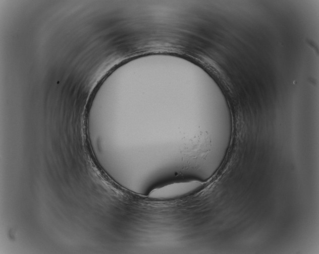 X0000103231182200809111523