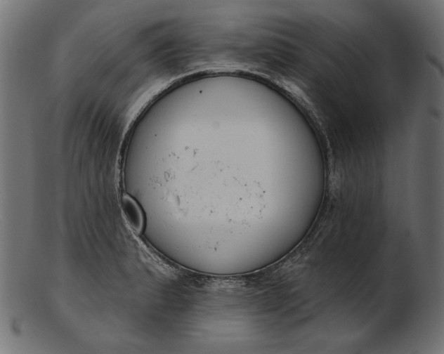X0000103231183200809111523