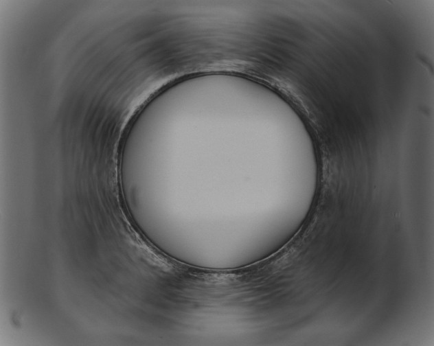 X0000103231184200809111523