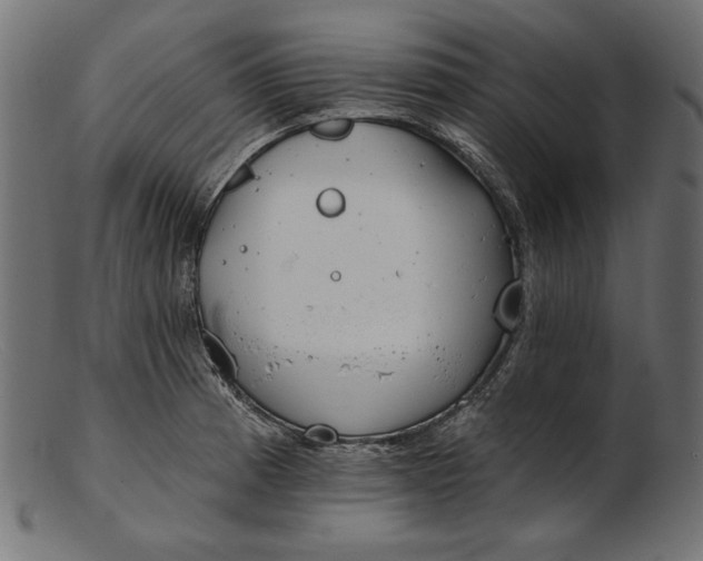 X0000103231185200809111523