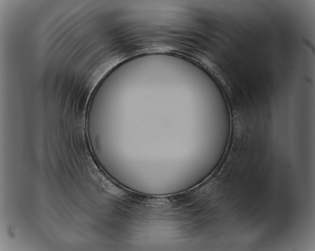 X0000103231186200809111523