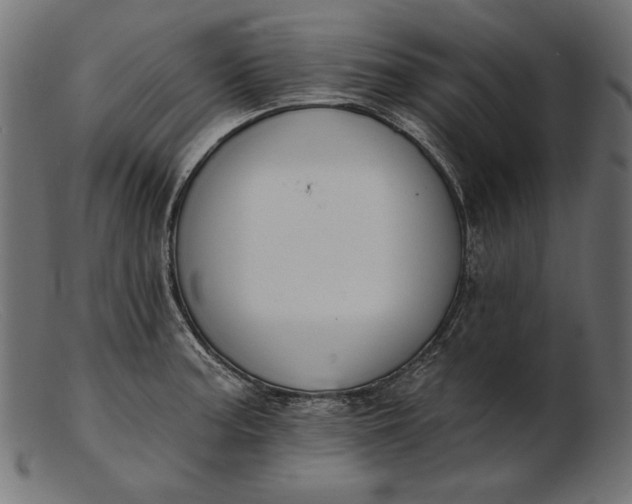 X0000103231187200809111523