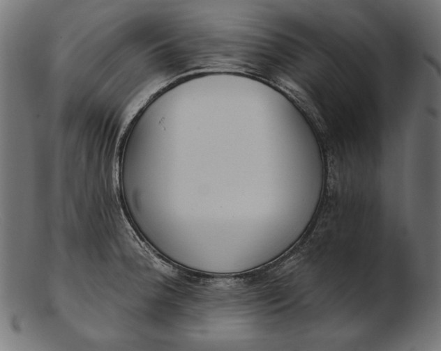 X0000103231188200809111523