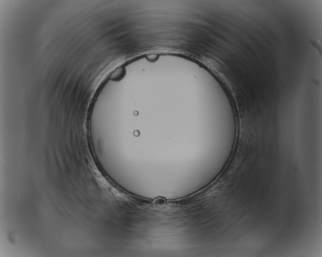 X0000103231189200809111523