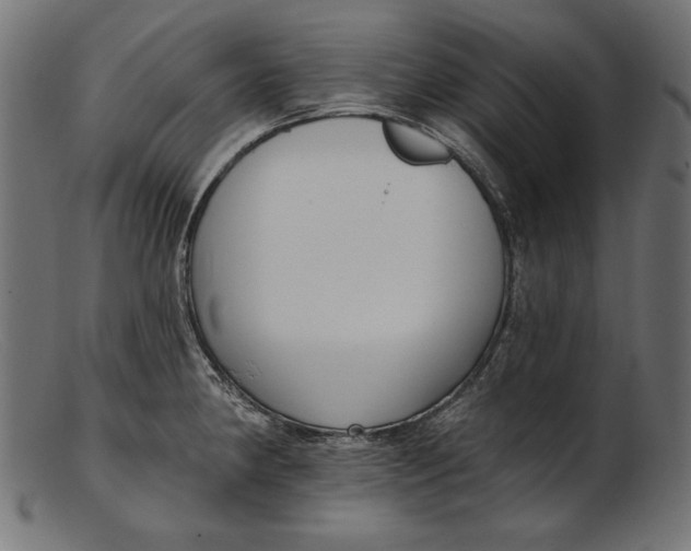 X0000103231190200809111523