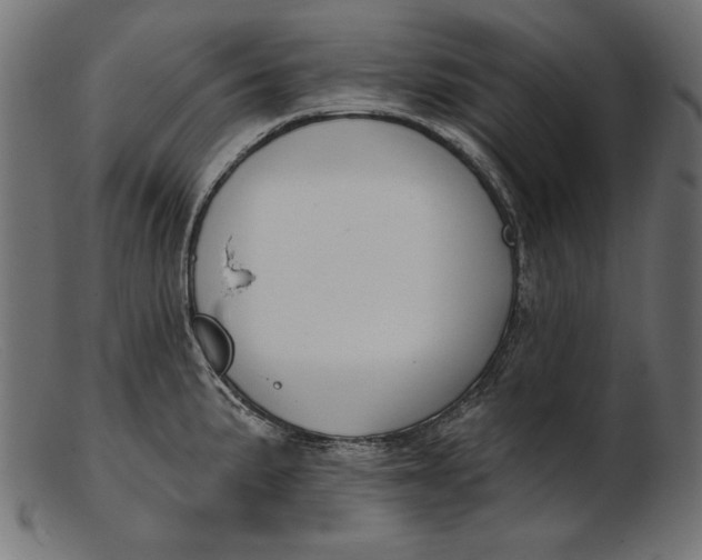 X0000103231191200809111523