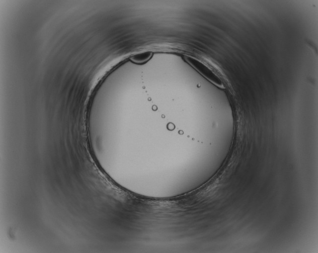 X0000103231192200809111523
