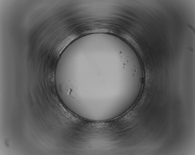 X0000103231193200809111523