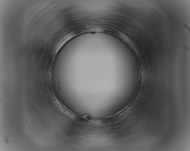 X0000103231194200809111523