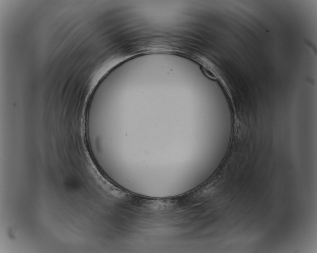 X0000103231195200809111523