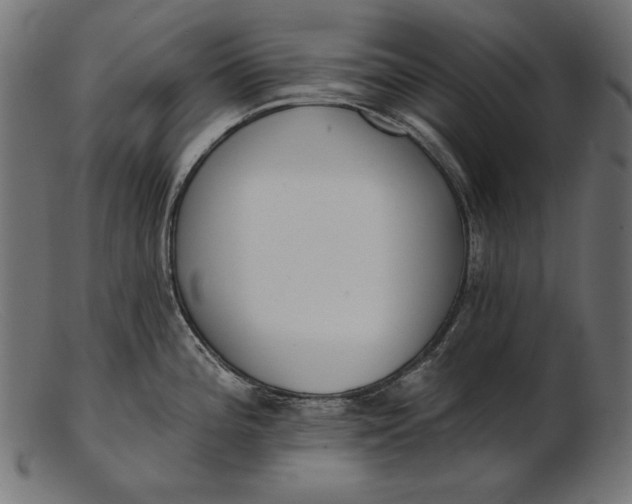 X0000103231196200809111523