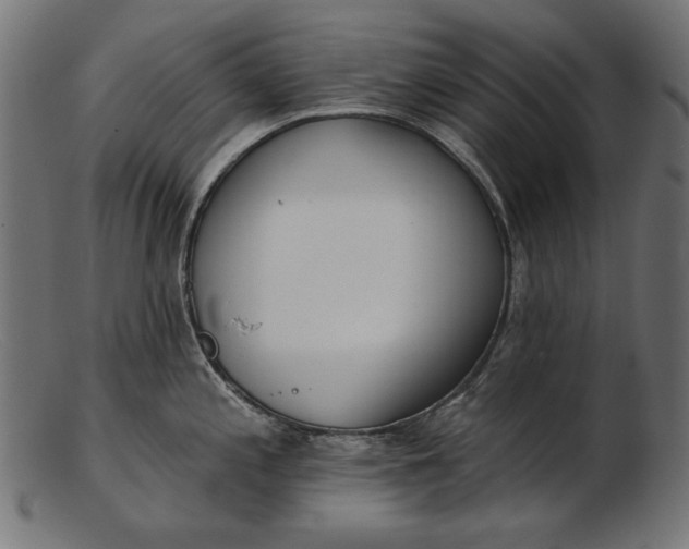 X0000103231197200809111523