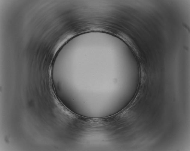X0000103231198200809111523