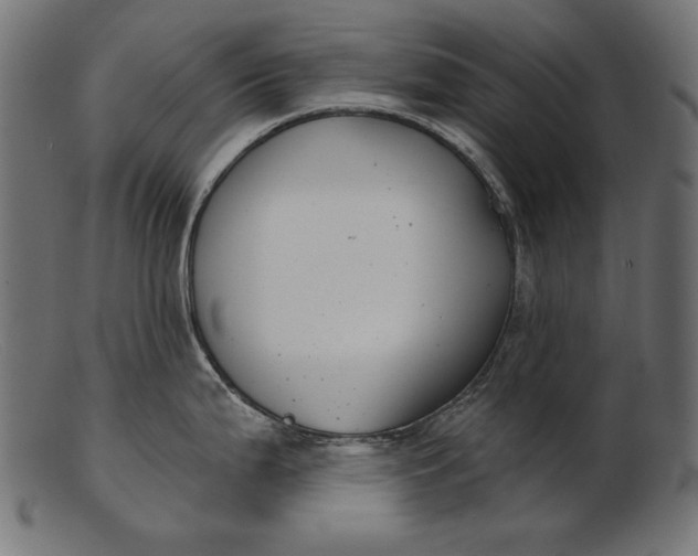 X0000103231199200809111523