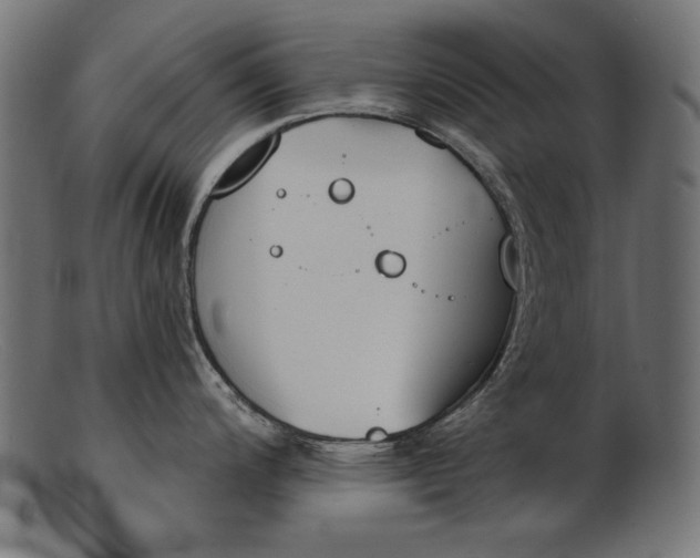 X0000103231200200809111523