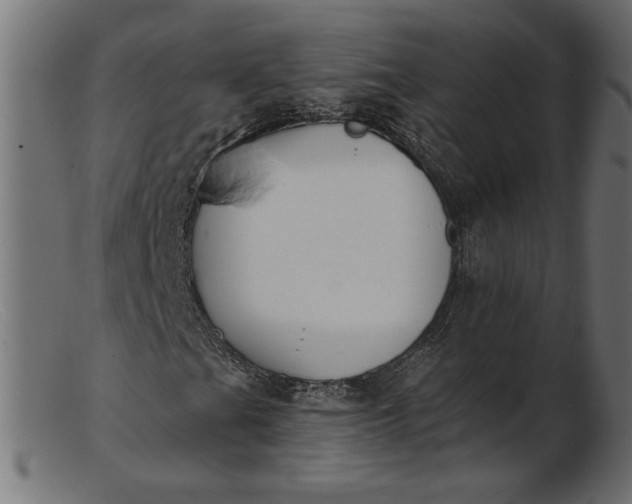 X0000103231201200809111522