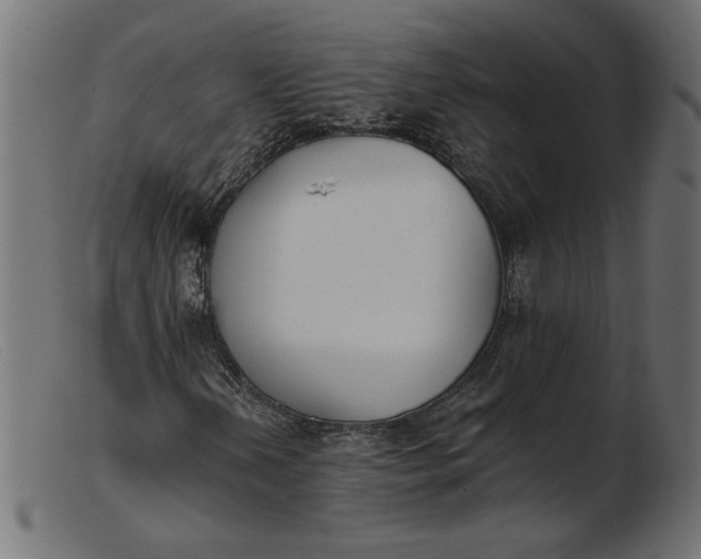 X0000103231202200809111522