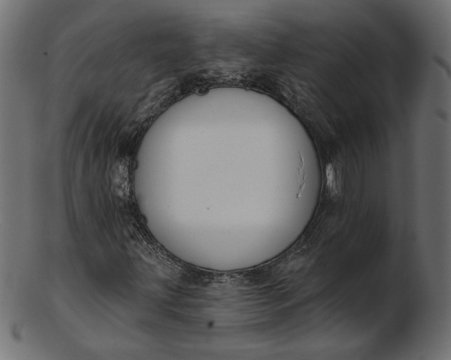 X0000103231203200809111522