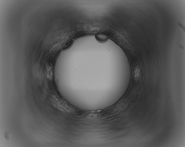 X0000103231204200809111522