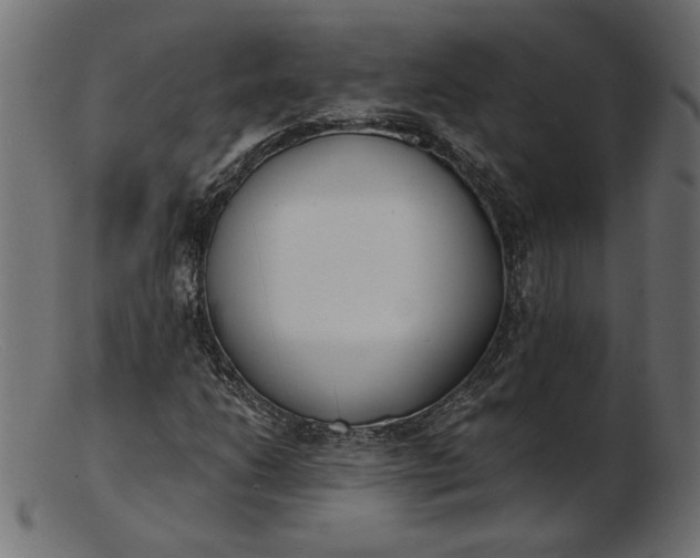 X0000103231206200809111522