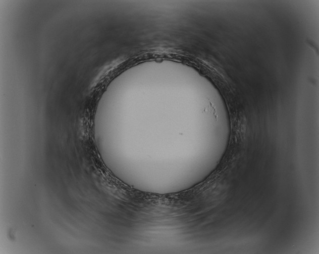 X0000103231207200809111522