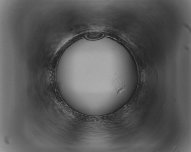 X0000103231208200809111522