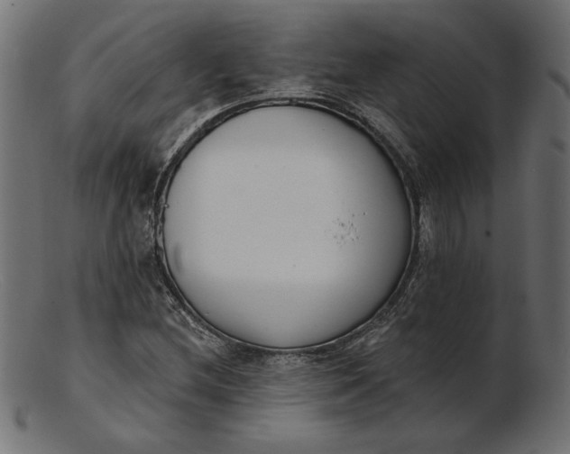 X0000103231212200809111522