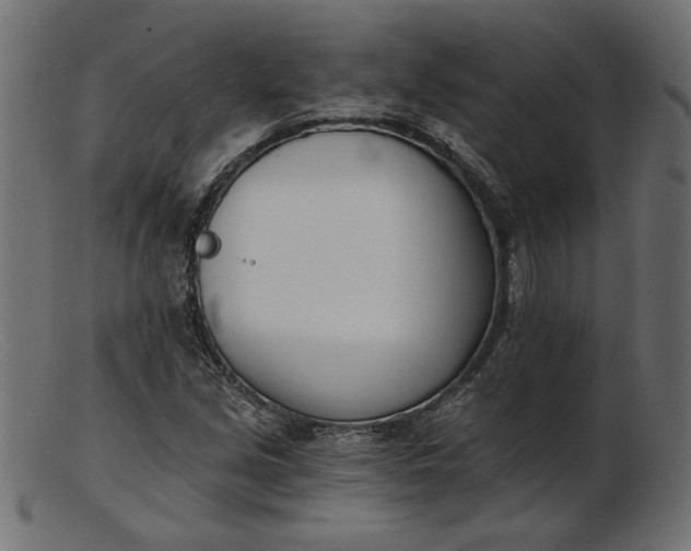 X0000103231213200809111522
