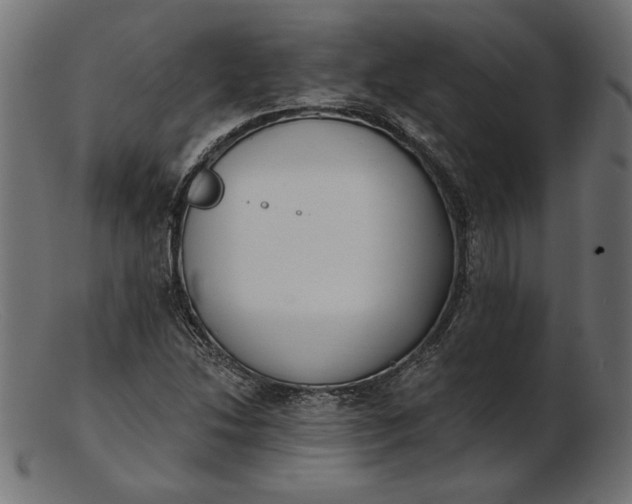 X0000103231214200809111522