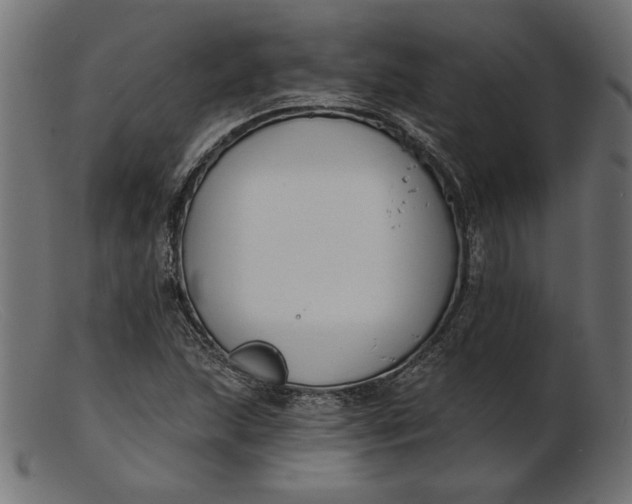 X0000103231215200809111522