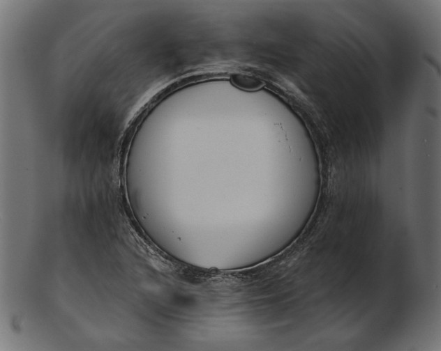 X0000103231216200809111522
