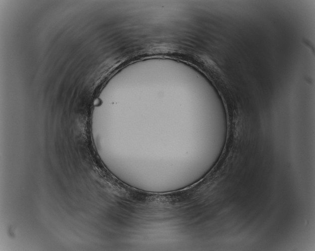 X0000103231217200809111522