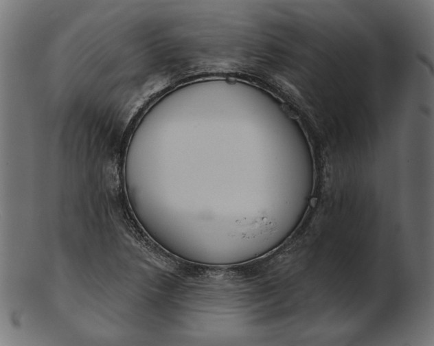 X0000103231218200809111522