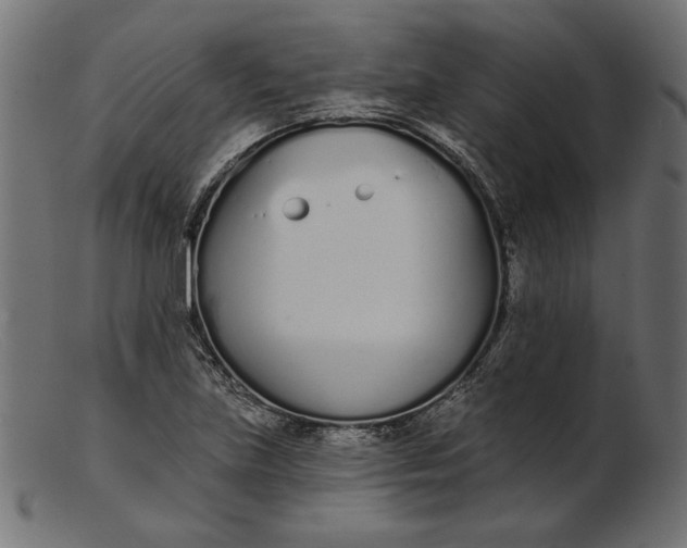 X0000103231219200809111523