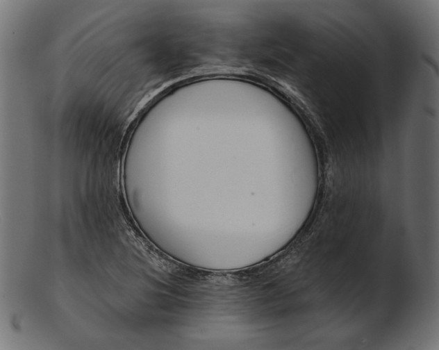 X0000103231220200809111523
