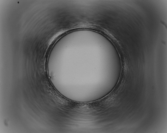 X0000103231222200809111523