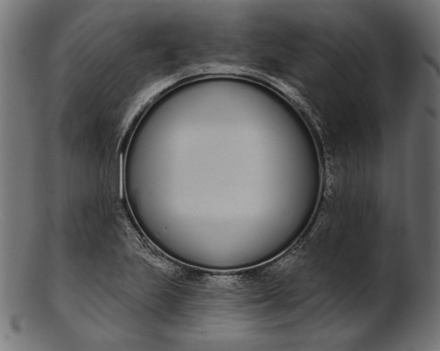 X0000103231223200809111523