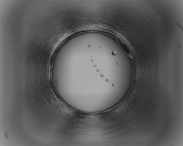 X0000103231224200809111523