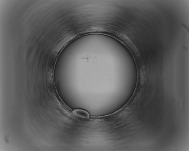 X0000103231225200809111523
