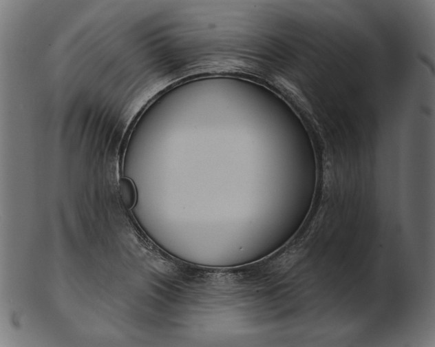 X0000103231226200809111523